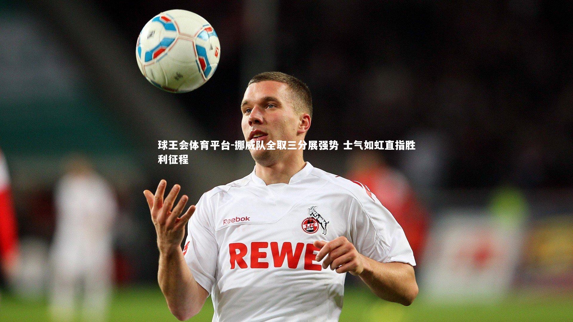 球王会体育平台-挪威队全取三分展强势 士气如虹直指胜利征程